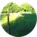 Photo de profil de Vegaetcie