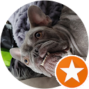 Photo de profil de Stanley Jr Ayotte