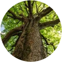 Photo de profil de E Fellin