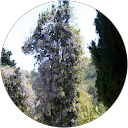 Photo de profil de Chris B