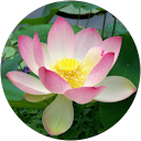 Photo de profil de Christine Novitsky