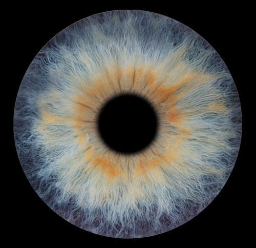 iris galerie artiris