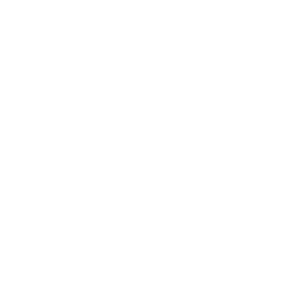 icon_edition_artiris