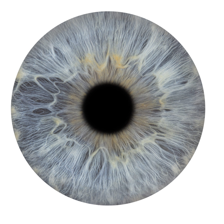 icon iris artiris